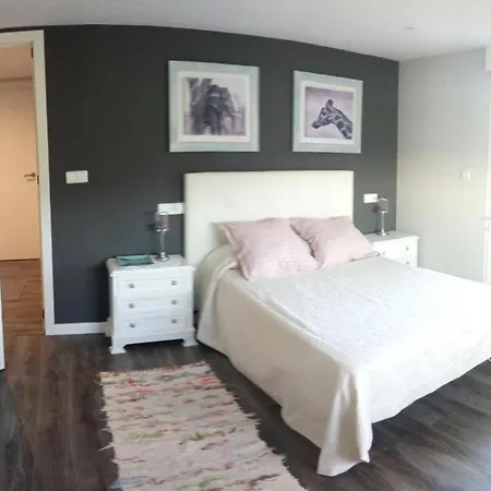 Casa Sartages Holiday home *